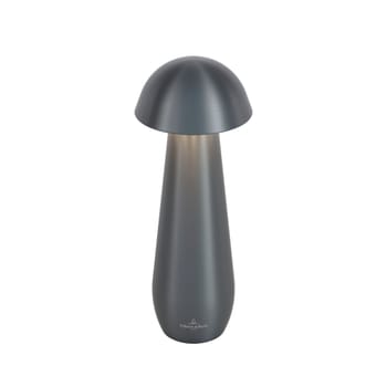 In-/Outdoorleuchte Modena, graphit