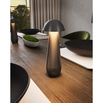 In-/Outdoorleuchte Modena, graphit (3 von 3)